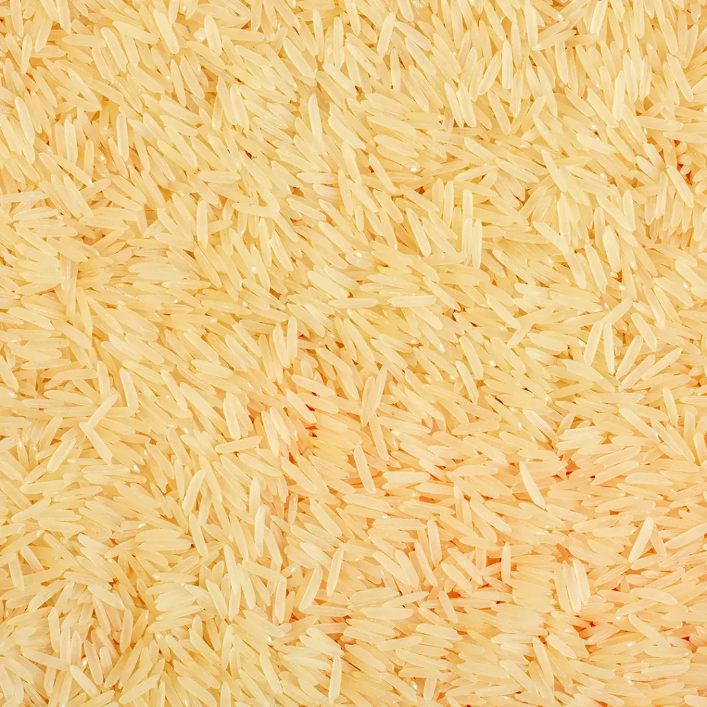 Rice