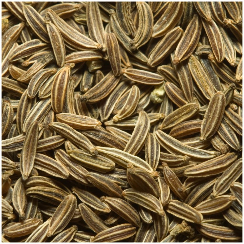 Cumin Seeds